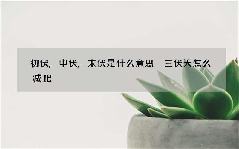 初伏,中伏,末伏是什么意思 三伏天怎么减肥